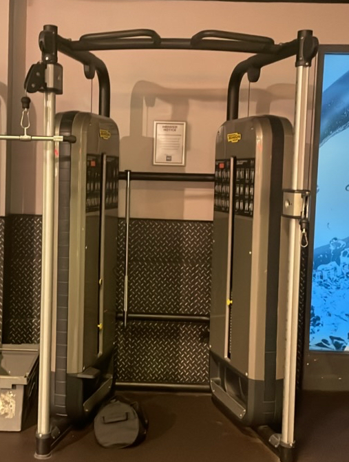 Technogym Dual Adjustable Pulley Performance Out Of Order - photo 1