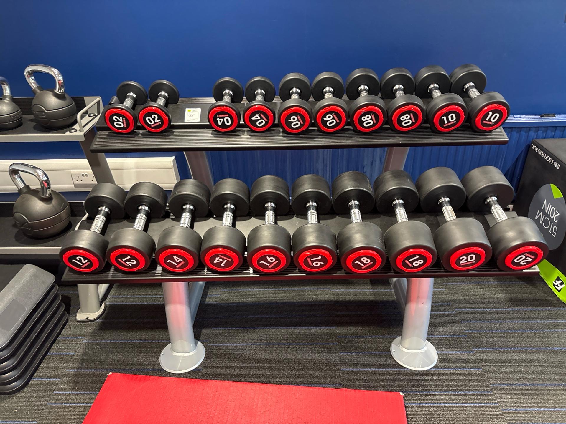 Set Of Escape Dumbbells And Rack - photo 1
