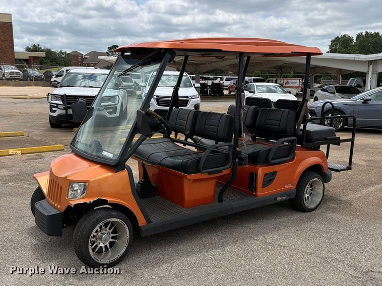 2010 Tomberlin Automotive Group Golf Cart