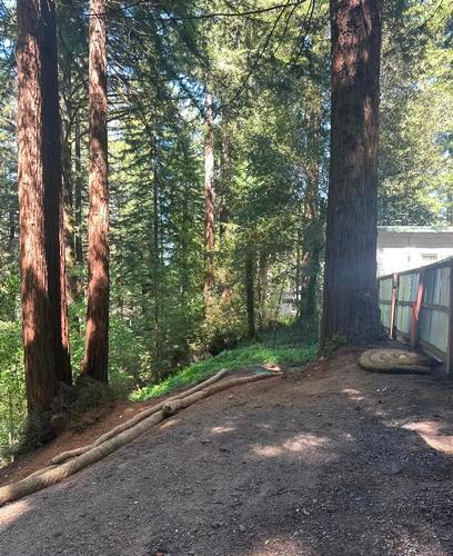 21473 BONITA TERRACE, MONTE RIO, CA