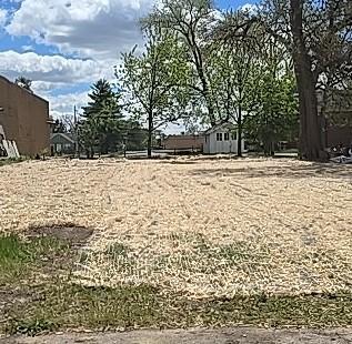 511 CHERRY PLACE, LOVES PARK, IL - photo 1