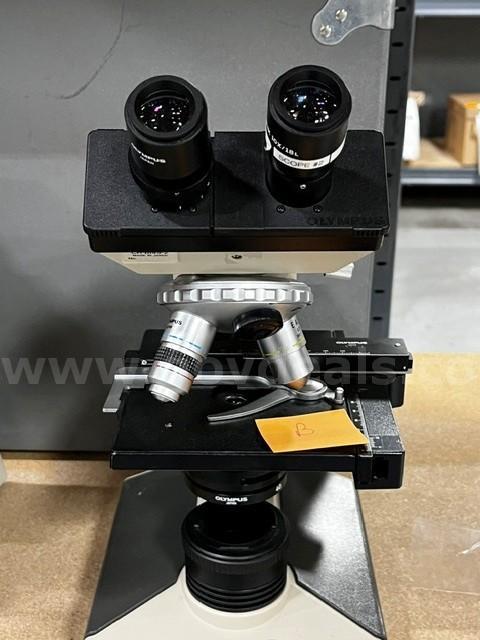 OLYMPUS CH2 HALOGEN MICROSCOPE
