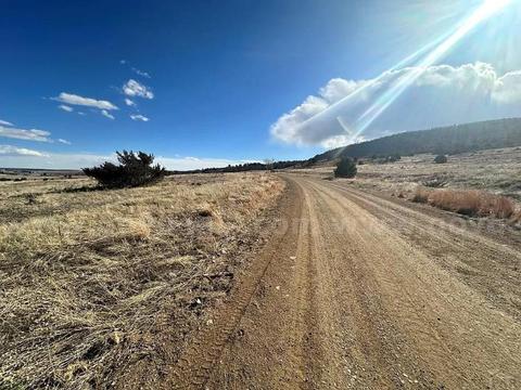 PRICE DROP on No HOA Greenhorn Meadows Park Area Lot in Colorado City w/Frontage & Power