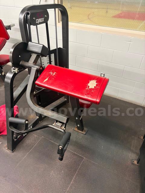 Cybex Selectorized Bicep Curl Machine