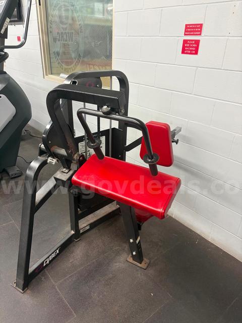 Cybex Selectorized Tricep Extension Machine