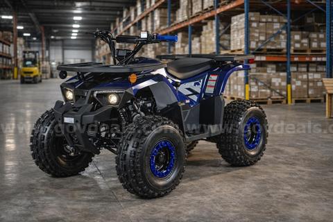 FREE SHIPPING - NEW 2025 - Four Wheeler 125cc - Factory Sealed