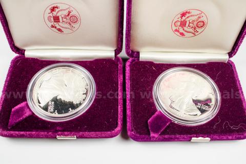 American Silver Eagle Proofs