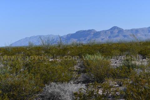 UNRESTRICTED 10-Acre Northwest Corner: High-Desert Views & Off-Grid Freedom