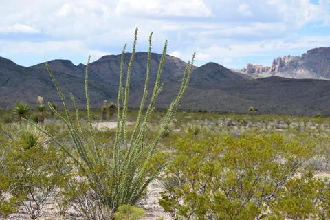 Exceptional 20-Acre Property – Mountains of Texas