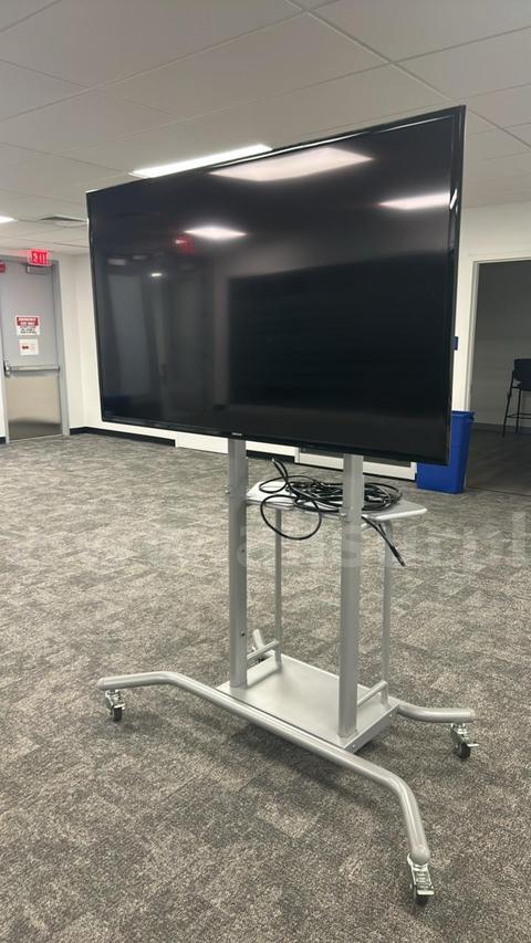 Samsung, 60-inch, Full HD (1080p) LED TV on rolling stand