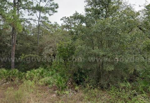 Vacant Residential Acre in Webster, FL