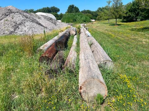Telephone poles