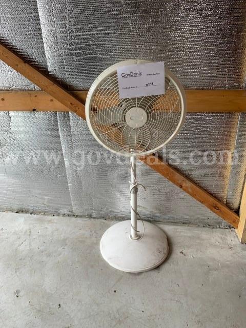 3-speed Oscillating Fan