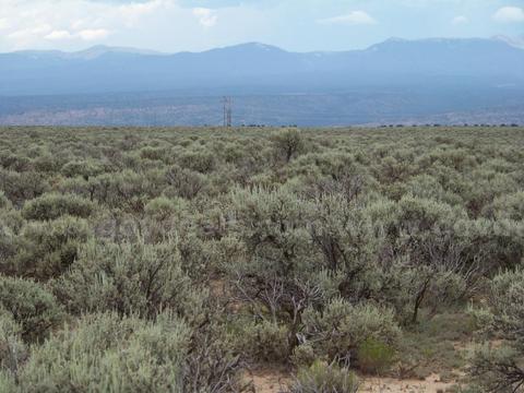 Big 9.24ac Lot in Rio Arriba County NM. Low Price for Quick Sale!