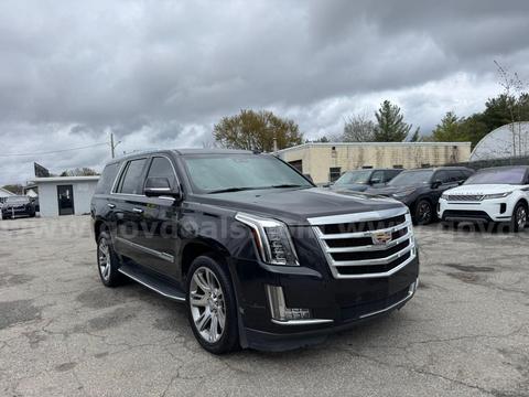 2019 Cadillac Escalade β Luxury Full-Size SUV
