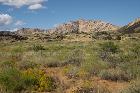1 Acre Southern Utah