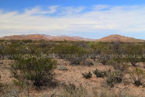 20 Acres Texas