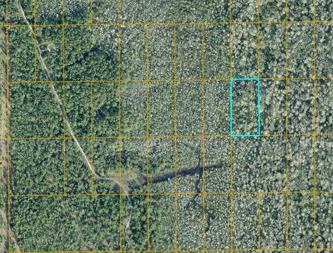 New Smyrna Beach, Florida - 1.25 Acres