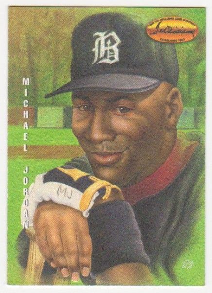 Michael Jordan Baseball Rookie - 1994 Ted Williams Company Gardiner Collection #DG-1 - photo 1